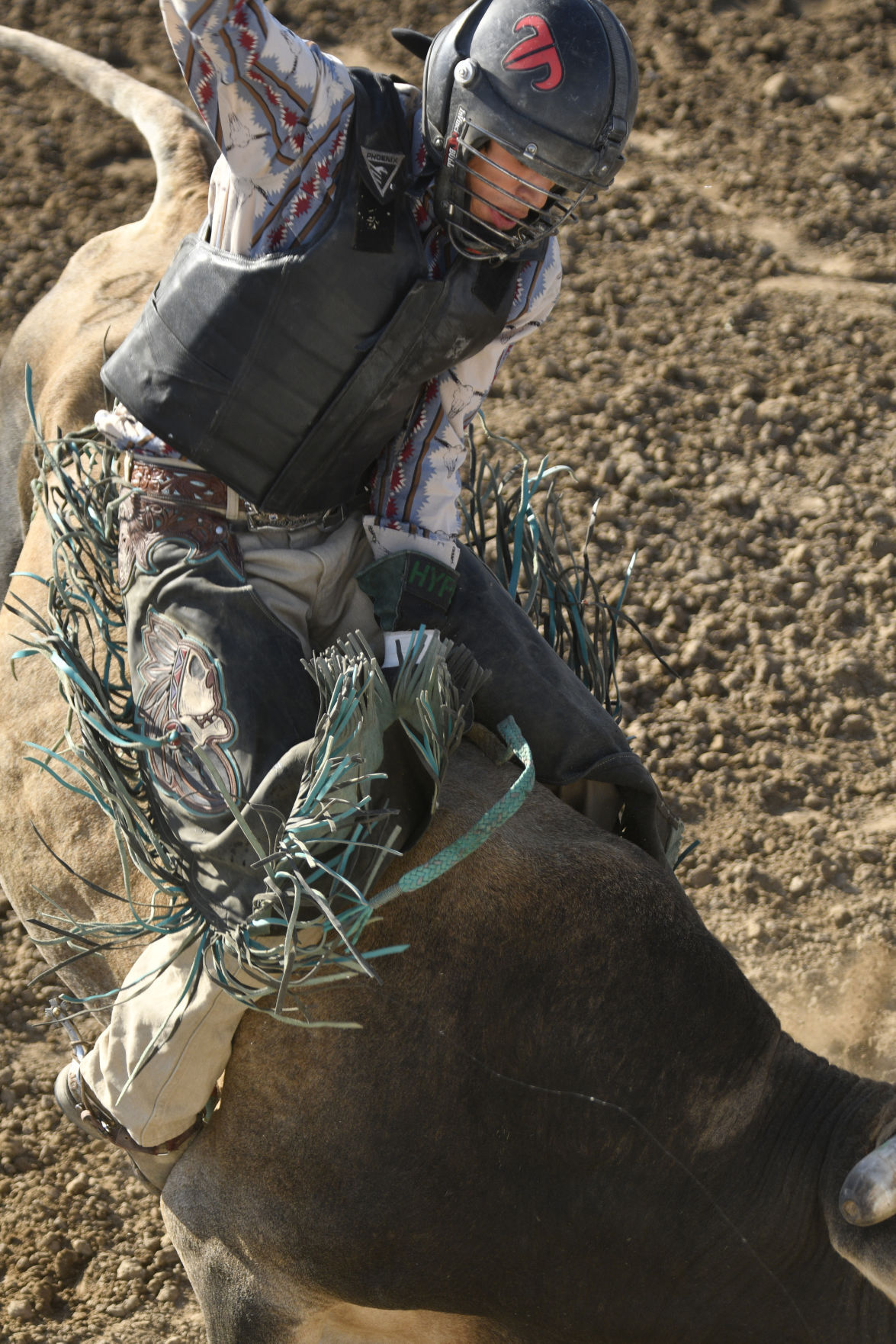 Lincoln County Mini Bull Riding